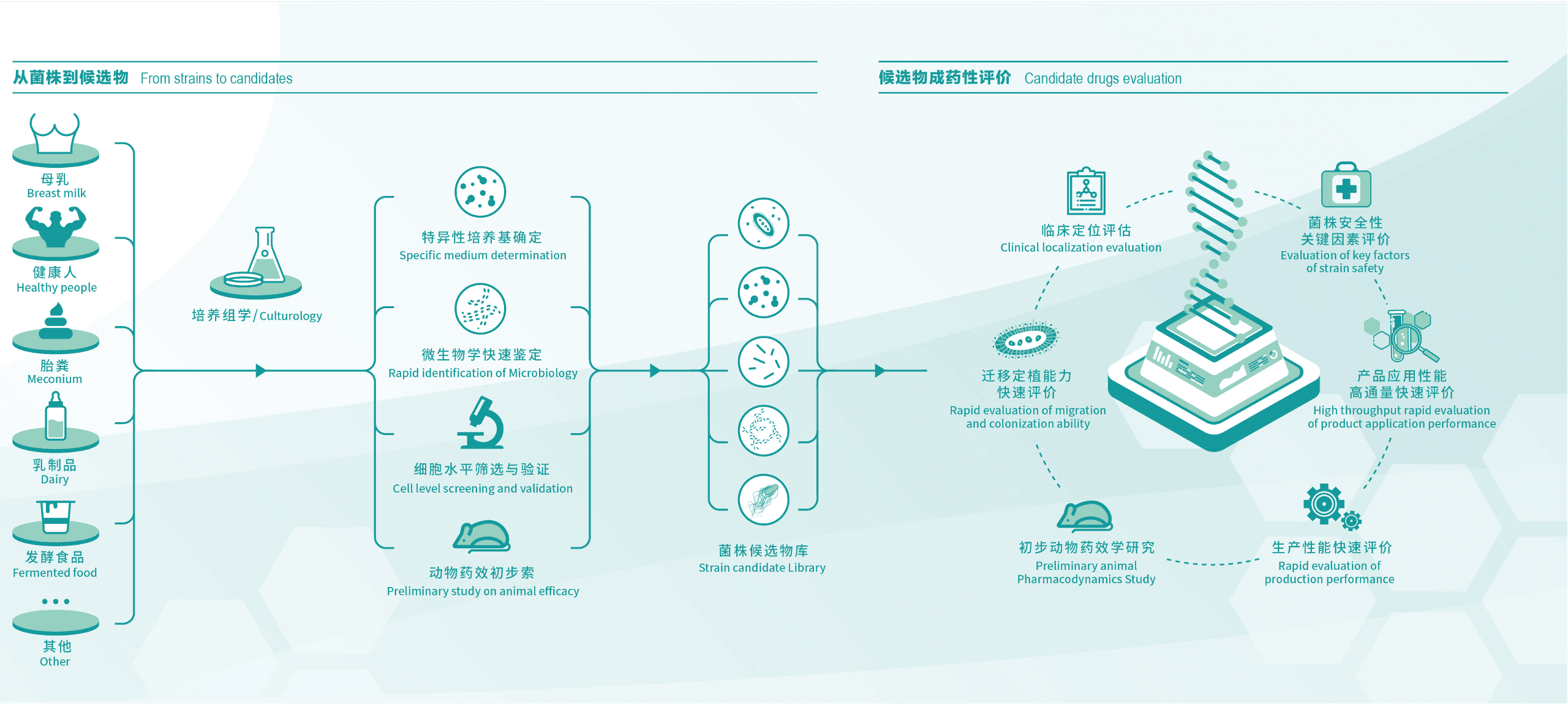 专业的培养学与菌株评价技术水平